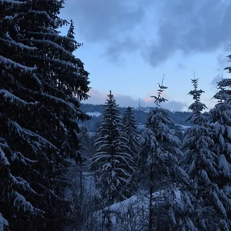 Franciszek ホームステイ