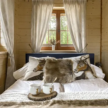 Franciszek ザコパネ