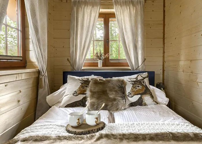 Franciszek 扎科帕内