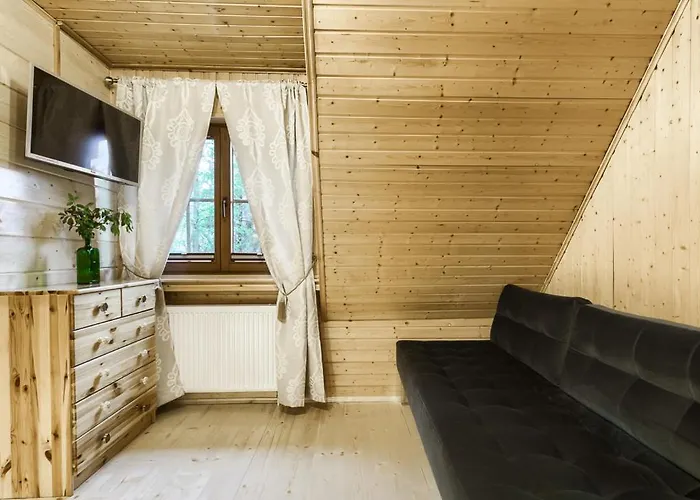 Franciszek * 扎科帕内